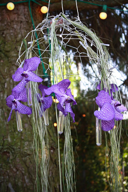 Mariage avec des Orchidées Vanda bleu à Carcassonne