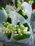 muguets - www.murielle-bailet.com