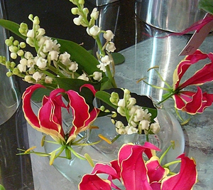 composition de muguet et gloriosa.Cette création est le coup de cœur de murielle-bailet.com! Travaillée dans un esprit nature très déco, Tempo est une composition qui habillera avec beaucoup de charme votre intérieur. Le blanc immaculé du muguet  crée une atmosphère de douceur printanière. Voici une création à se procurer sans hésiter!