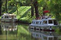bouquets de fleurs à Carcassonne - www.murielle-bailet.com
